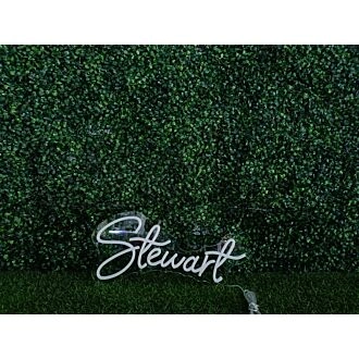 Brighten Up Your Bar, Wedding, and Home Decor with the Stewwart White LED Neon Sign.