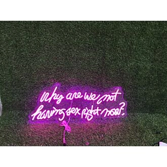 Brighten Up Your Bedroom, Bar, or Bachelorette Party with the "Why Are We Not Having Sex Right Now" Pink Custom LED Neon Sign.
