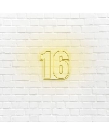 16 LED Neon Sign