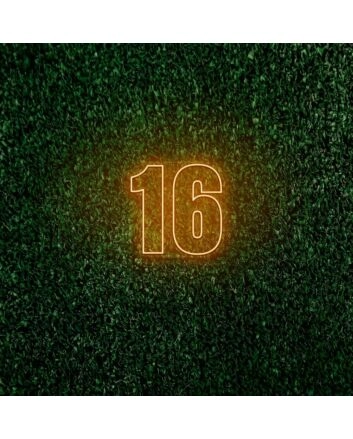 16 LED Neon Sign