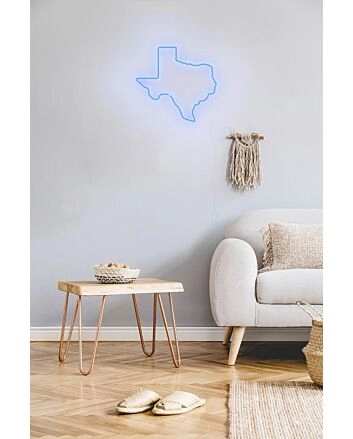 Texas Neon Sign