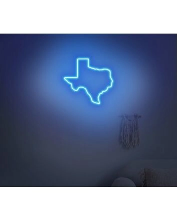 Texas Neon Sign