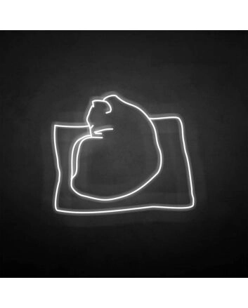 &#39;The cat on the pillow&#39; neon sign