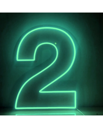 Number 2  LED Neon Sign