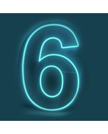 Number 6 LED Neon Sign