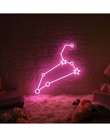 &#39;Leo&#39; neon sign