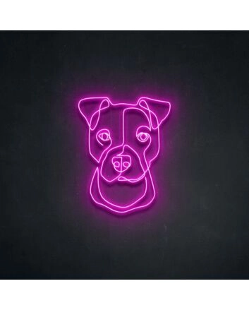 Boxer Neon Sign for Fitness Enthusiasts