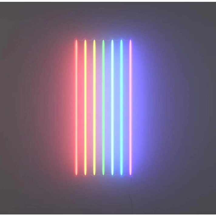 Rainbow Flag Neon Sign