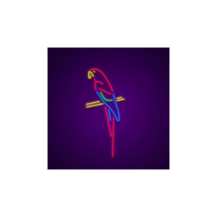 Parrot Neon Sign for Tropical and Fun Decor